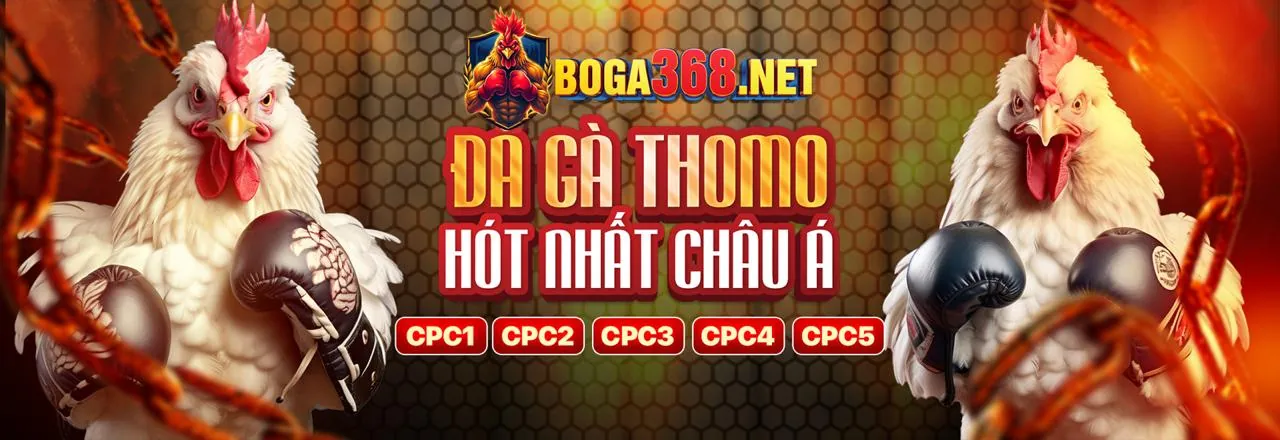 Hình ảnh tổng hợp các trò chơi đa dạng trên nền tảng betvnd login